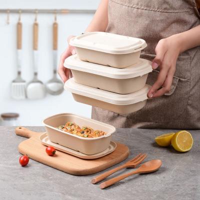 China Sustainable Eco Friendly Biodegradable Disposable PLA Lunch Box Takeaway Food Container for sale