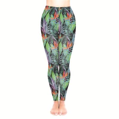 China Hot Selling Breathable Buttery Soft TROPICAL LEAVES BLACK 3D Printing Tik Tok Yoga Pant Booty Lift Up Gaiters for sale