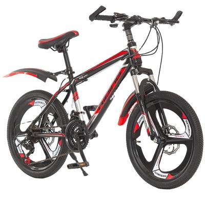 China Mountain Bike Wholesale Steel Suspension Full Down Hill Bicycle 26inch 21 Speed ​​Snow Beach Bike With Fat Tire for sale