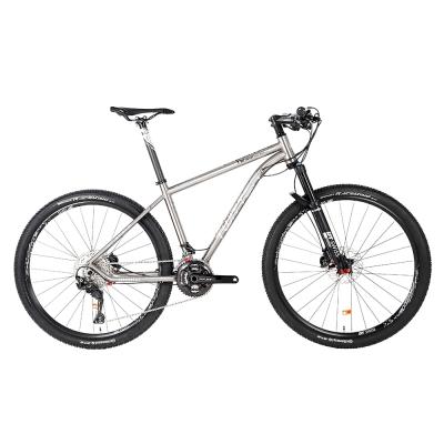 China WERNER SHIMANO XT/M8000-22S Titanium Titanium Frame 27.5/Twitter 29 Inch Disc Mtb Mountain Bike For Men for sale