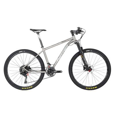 China Twitter WERNER SHIMANO XT/M8000-22S titanium lightweight mtb frame 29 mountain bike for sale for sale