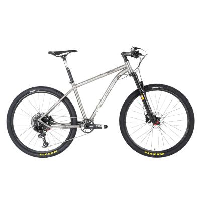 China 2021 China Twitter 12 speed titanium 29 inch 27.5 mtb titanium mountain bike for sale