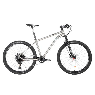 China Hot Selling Titanium Alloy Mountain Bike 29 Inch 142 Inch Per Axle Titanium mtb Bike With GX-12 Gear For Men for sale