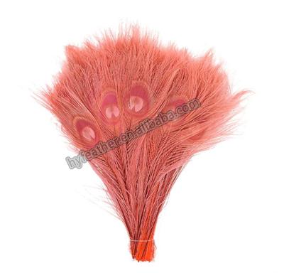 China Manufacturer Bleached +Dyed Decoration Feather Material 53 10-12 Inch Peacock Decoration Tail Feathers For Sale Cheap for sale