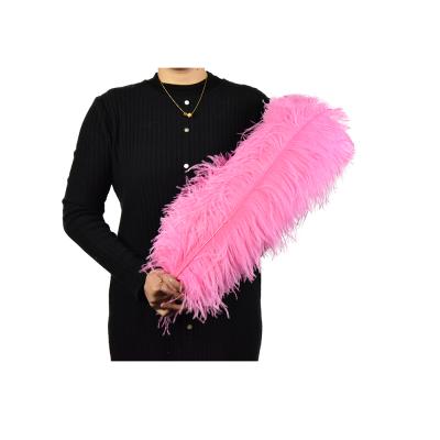 China Wholesale Material Bulk Dyed Feather Chicken Rooster Tail Feather Decoration Feather For Carnival Costumes for sale