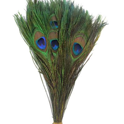 China Peacock Feather Trade Quality Manufacturer Factory Directly Top Level Peacock Feather Part Supplies for sale