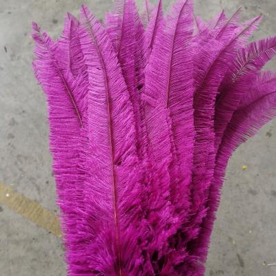 China #Cheaper Ostrich Nandu Feather Material Decoration White and Color Ostrich Feather Wedding Decorations Feather for sale