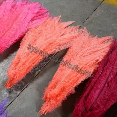 China #Cheaper Decorations Wedding Feather Nandu Feather Ostrich Feather White and Color Feather Material for sale