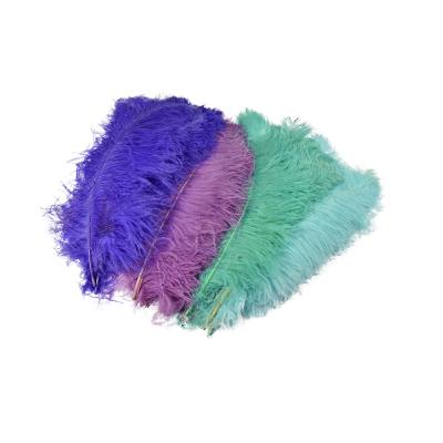 China 50-55cm Colored Ostrich Feather Colorful Carnival Festival Ostrich Feather Decoration From Hong Yuan Feather Ostrich Feather Factory for sale