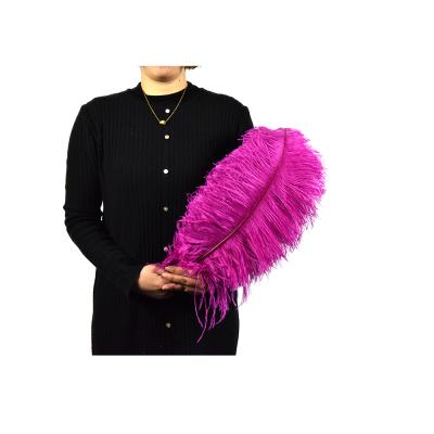 China Decoration Feather Manufacturer HP-17 Material High Quality Hot-selling Ostrich Feathers For Wedding Decoration Holders for sale