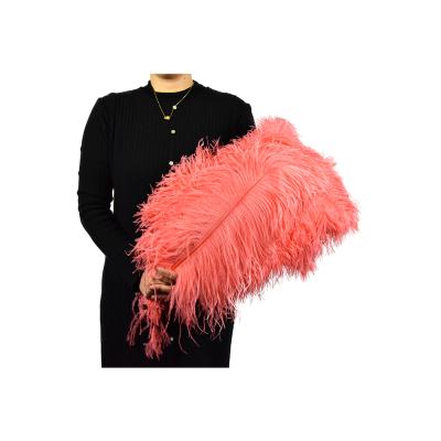 China Wholesale Ostrich Feather Factory Hot Pink Ostrich feathersMix Colors Ostrich Feathers For Carnival Costumes for sale