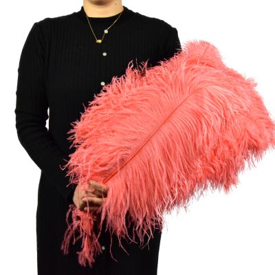 China Decoration Feather Manufacturer HP-17 Material High Quality Hot-selling Ostrich Feathers For Wedding Decoration Holders for sale