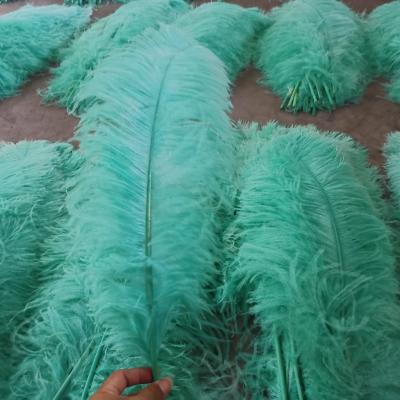 China Decoration feather material. Feather For Party Items Or Masquerade Cheap 20-22 Inch Feathers Decoration For Ostrich Femina Colored Carnival Ostrich Feather for sale