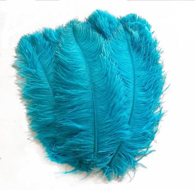 China Ostrich Feather Wholesale 20-22inch Feather Femina Promotional Cheap Decorative Ostrich Fluffy Feathers For Sale for sale