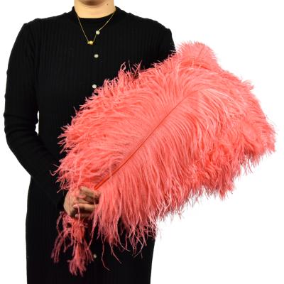 China Decoration Feather Manufacturer HP-17 Material High Quality Hot-selling Ostrich Feathers For Wedding Decoration Holders for sale