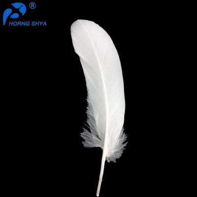 China Decoration feather material. For Wholesale Feather Pen Horng Shya Feather Crafts HP Series Top Selling Duck Feather Customized Washed Or Natural Dyed for sale