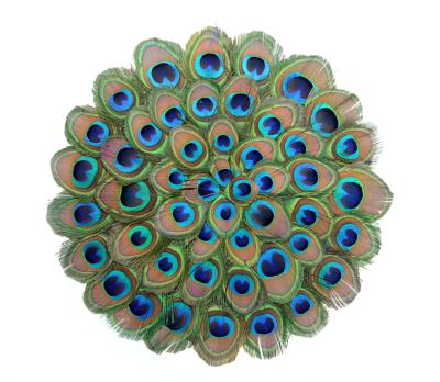 China Home Table Decoration 40cm Peacock Eyes Place Mats , Feather Dining Mat Placemat for sale