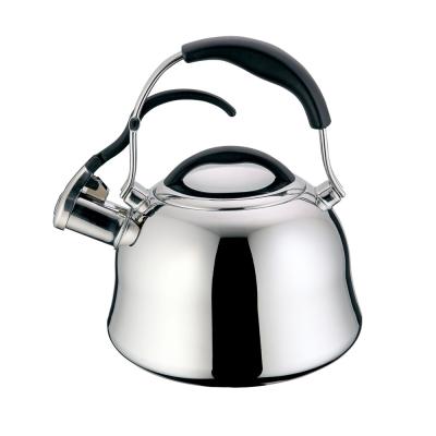 China Viable Manufacturer Whistling Tea Kettle Painting Silver Color Stainless Steel Water Jug OEM Customized Box for sale