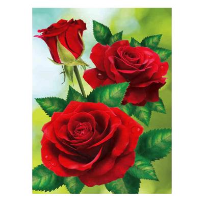 China Modern Wholesale Custom 5d Diamond Painting Red Flowers Diamond Embroidery Mosaic Home Wall Decor Red Diamond Painting for sale