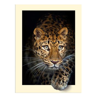 China Modern DIY 5D Diamond Painting Animal Cross Stitch Home Decoration Embroidery Mosaic Painting Gift for sale