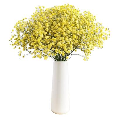 China Dry flowers wholesale hot sale natural gypsophila flowers, real touch decoration flowers, wedding event decorations for sale