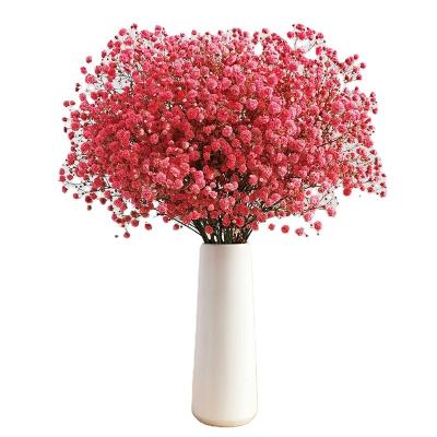 China Hot Selling Natural Dry Flower Gypsophila Large Bulk Dry Flower Bunches The Bouquets Wedding Event Decorations for sale