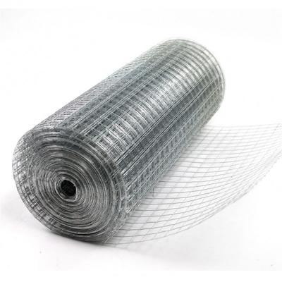 China Hot Selling Plain Weave Custom Sizes Solid Iron Steel Welded Wire Mesh For Small Animals Cages for sale