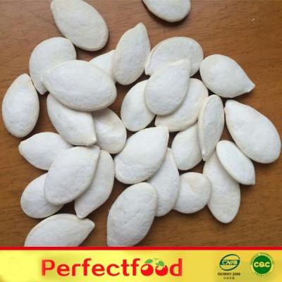 China Salted and Roasted Inexpensive Dry Pumpkin Seeds for sale