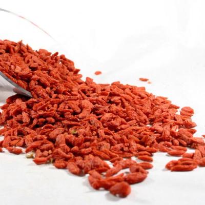 China Dried Organic Sun Dried Goji Berry for sale