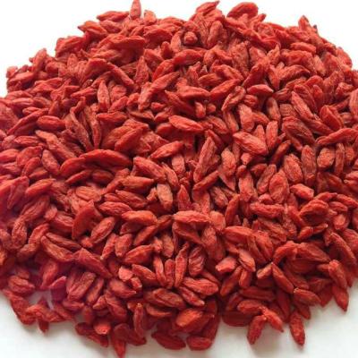 China 2021 New Dry Crop Dried Goji Berry Plant for sale