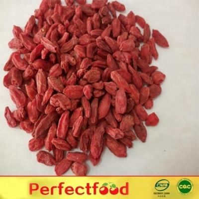 China Wholesale Dry Bulk Goji Berries Goji Berry for sale