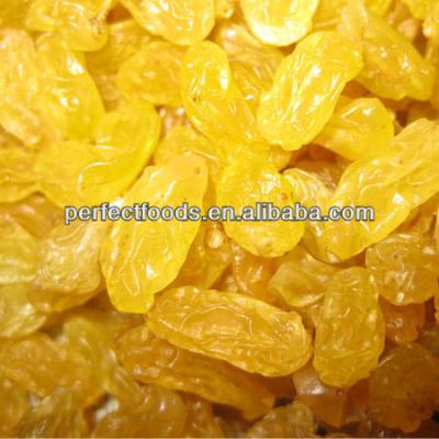 China Thompson's Golden Seedless Raisin for sale