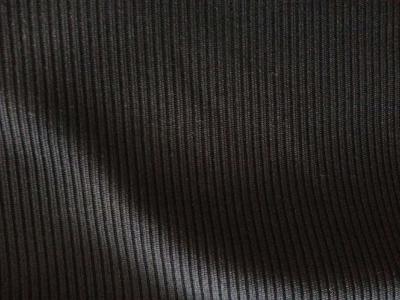 China polyester spandex 2*2 rib fabric for sale