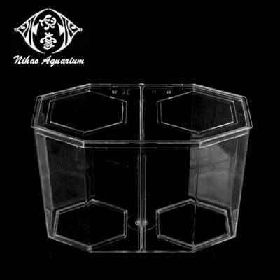 China Best Viable Plastic Fish Tank Two Person Clear Chamber Mini Fish Tank With Divider for sale