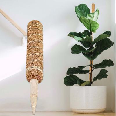 China Anti Coir Coir Coconut Moldy Plant Support Indoor Plants Mounting Moss Pole Stackable Plastic for sale