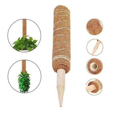 China Indoor Decorative Coir Growing Moss Pole Plastic Coconut Coir Totem Plants Plant Support for sale