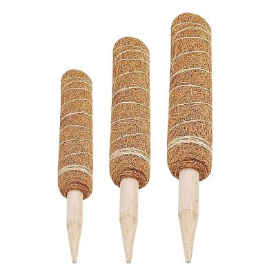 China Home Decor Stackable Coconut Coir Plants Indoor 30/40/50cm Coir Plant Support Upright Moss Pole for sale