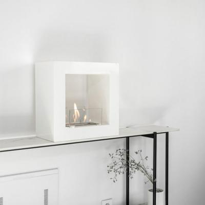 China Most Popular Stainless Steel Ethanol Fireplace ZM-JS015 for sale