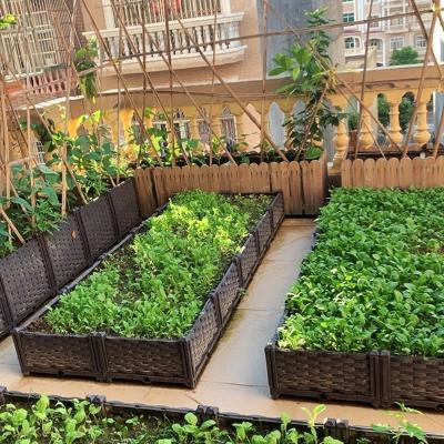 China High Quality Minimalist Goods Garden Vegetables Planting Box Plastic Plant Pots for sale