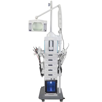 China Good Quality Low Price Skin Revitalizer 19 in 1 Multifunctional Skin Care Salon Beauty Facial Machine for sale