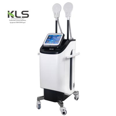 China Professional Weight Loss Body Fat Belly Burning Weight Loss Slimming Machine For Salon Use for sale