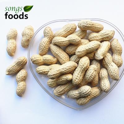 China Dry Wholesale Bulk Raw Peanuts For Sale for sale