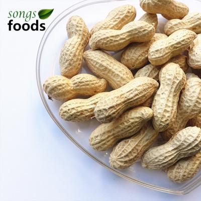 China Wholesale Dry Peanuts Raw Peanut For Market Price for sale