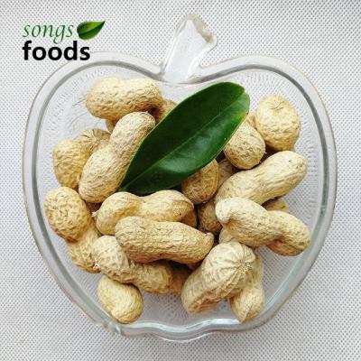 China Hot Selling Inshell 9/11 Dry Raw Green Peanuts for sale