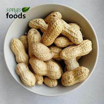 China High Quality Dry Peanuts Raw Peanut In Shell for sale