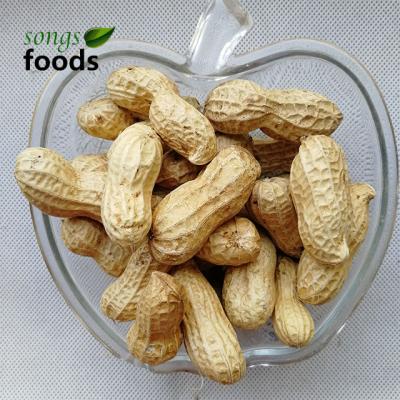 China Dry crop raw peanuts and peanuts 1KG 2018 price for sale