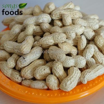 China Peanut inshell dry West African foods for sale