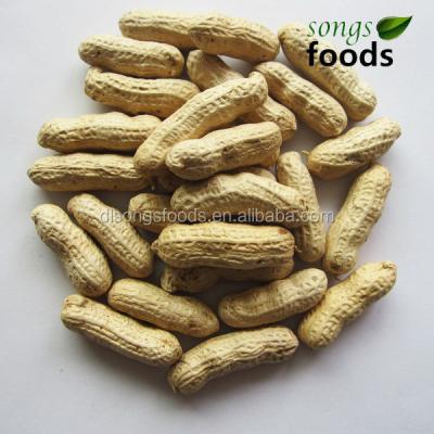 China Chinese Wholesale Dry Roasted Peanuts, Wholesale Peanuts / Best Price for sale