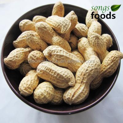 China New Culture Inshell Dry Chinese Raw Peanuts for sale