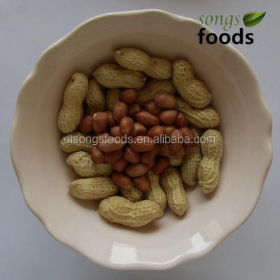 China Dried inshell and peanut kernels from Penut for sale